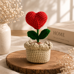 Handmade Heartpot Keepsafe